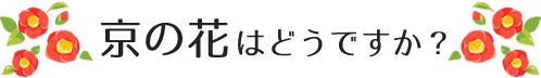 京の花はどうですか？